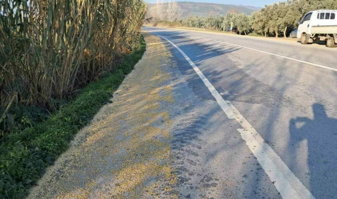 Bursa’nın İznik ilçesinde kamyonun