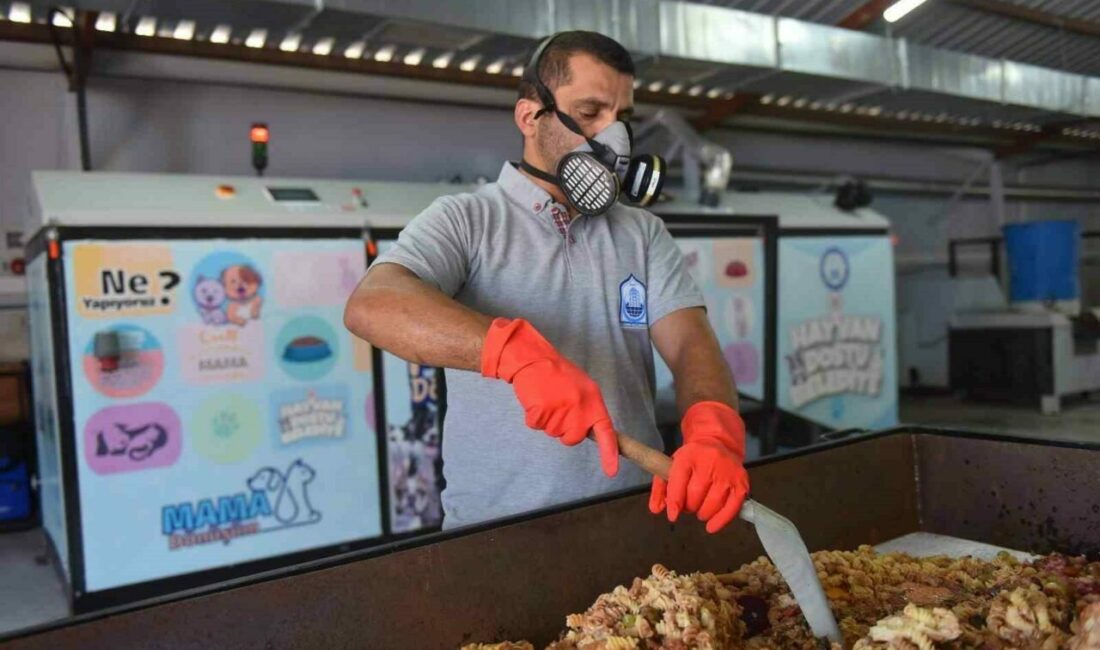 Yıldırım Belediyesi’nin topladığı yemek