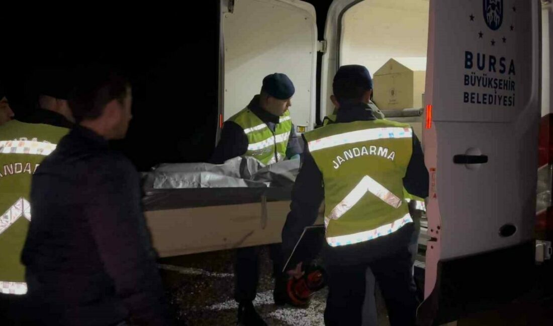 Bursa’nın İznik ilçesinde kayıp olan 18 yaşındaki gencin cansız bedeni,