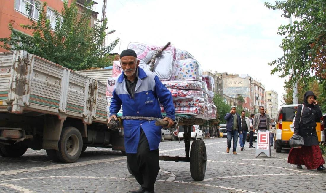 Emekli ve Emekçi Dernekleri Federasyonu (EMED-FED) Başkanı Gönül Boran Özüpak,