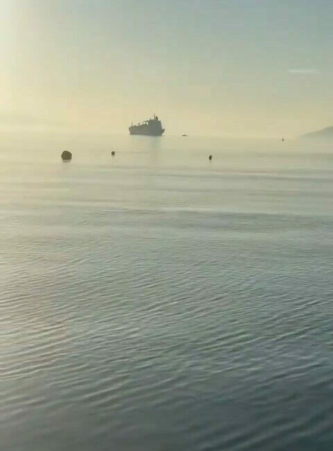 Bursa’nın Gemlik ilçesi Kumla Mahallesi sakinleri, sahildeki yoğun kokunun açıkta