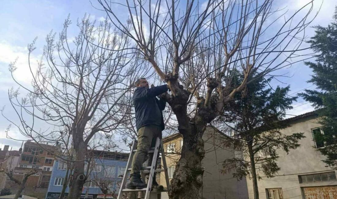 Gemlik Belediyesi Park ve Bahçeler Müdürlüğü ekipleri, ilçe genelindeki park